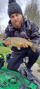 Common Carp