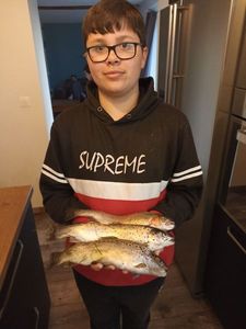 Rainbow Trout