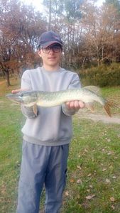 Northern Pike