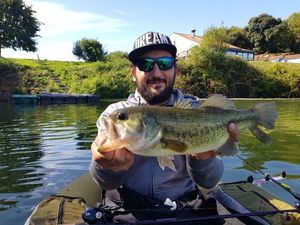 Largemouth Bass