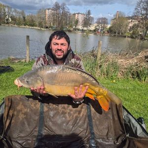 Mirror Carp