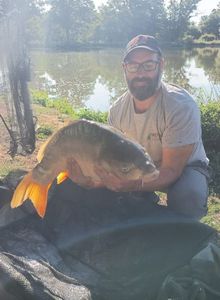 Mirror Carp