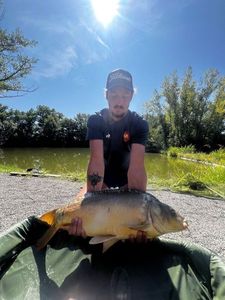 Mirror Carp