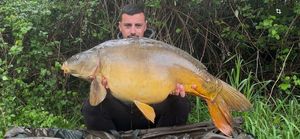 Mirror Carp