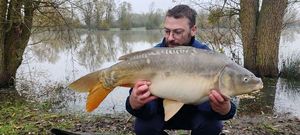 Mirror Carp
