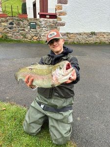 Rainbow Trout