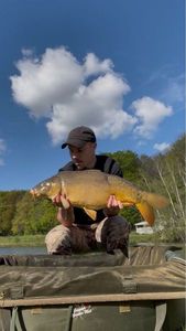 Mirror Carp