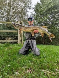 Northern Pike