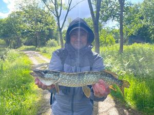 Northern Pike