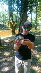 Largemouth Bass