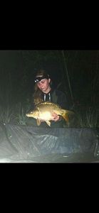Mirror Carp