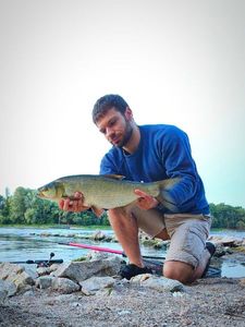 Asp caught by Rémi Fishing