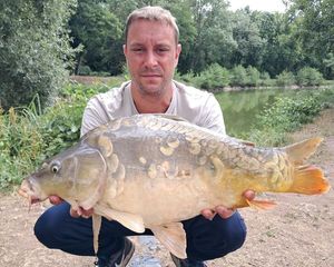 Mirror Carp
