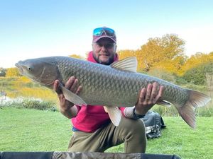 Grass Carp