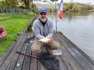 Common Bream