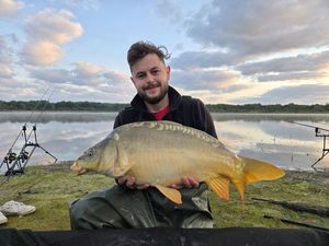 Mirror Carp