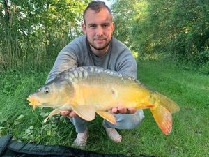 Mirror Carp