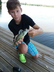 Largemouth Bass