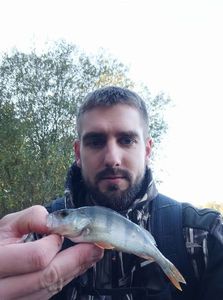 European Perch