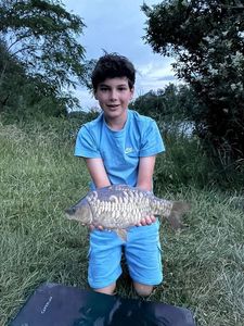 Leather Carp
