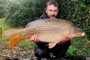 Common Carp