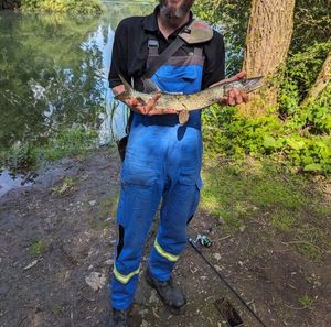 Northern Pike