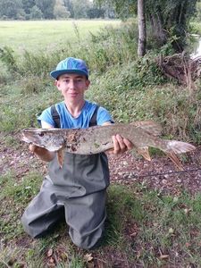 Northern Pike