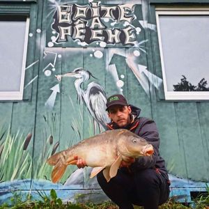 Mirror Carp