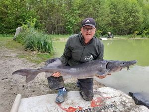 Sturgeon