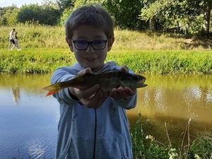 European Perch