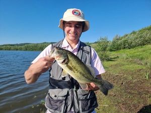 Largemouth Bass