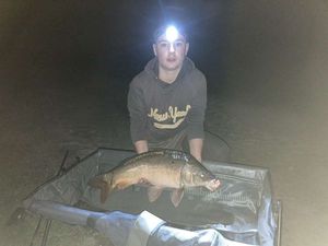 Mirror Carp