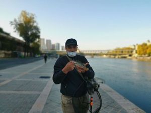 European Perch