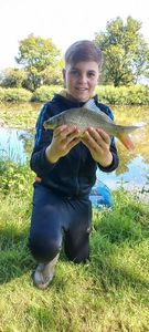 Common Carp