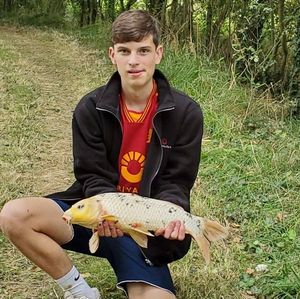 Koï Fish