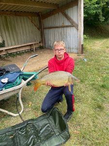 Common Carp