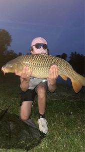 Common Carp