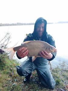 Common Bream