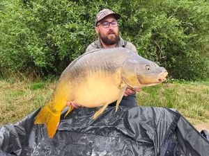 Mirror Carp