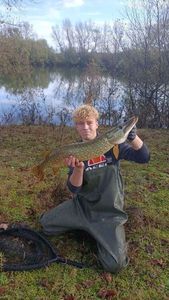 Northern Pike