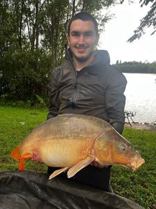 Mirror Carp