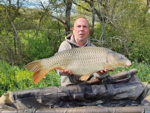 Common Carp