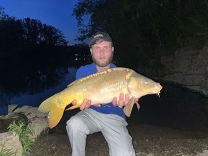 Mirror Carp