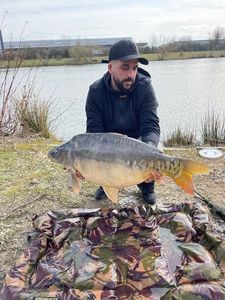 Mirror Carp