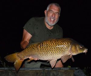 Common Carp