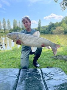 Grass Carp