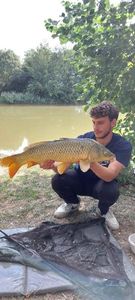 Common Carp