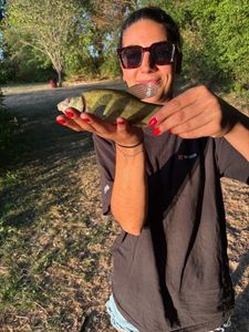 Smallmouth Bass
