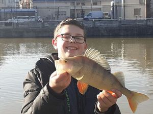 European Perch caught by Dydy fishing 🎣