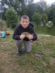 Crucian Carp